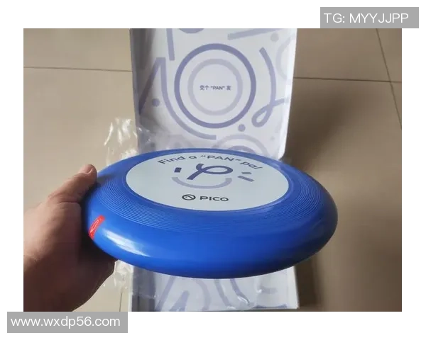 深圳飞盘队在极限运动世界杯中的比赛经验与表现分析 深圳飞盘队在极限运动世界杯中的比赛经验与表现分析