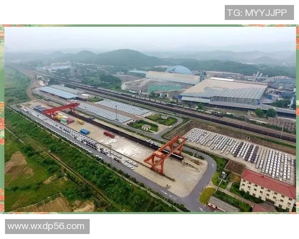 西安排球队快攻革新之路：战术变革与未来展望