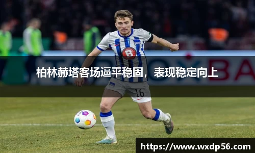DG视讯平台