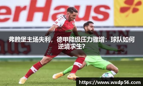 DG视讯平台