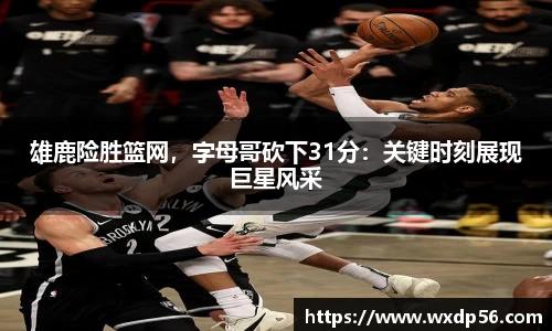 DG视讯平台