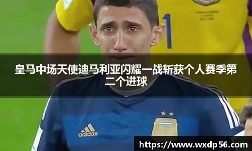 DG视讯