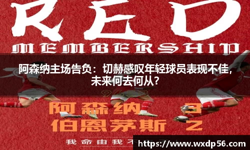 DG真人视讯