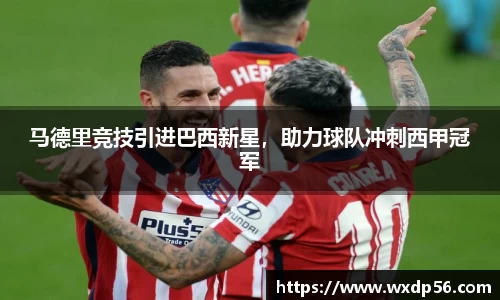 DG视讯平台