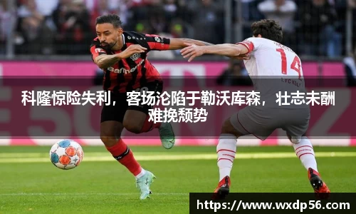 DG视讯