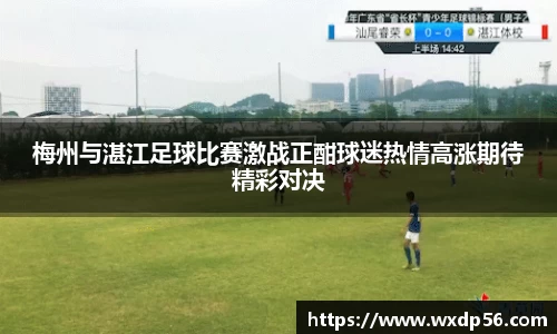 DG视讯平台