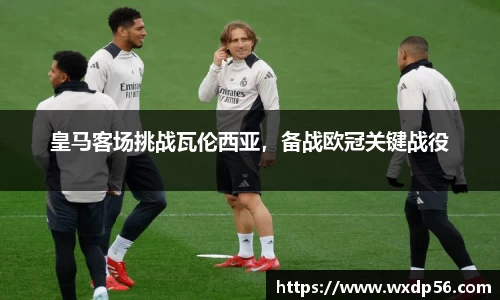 DG视讯官方网站