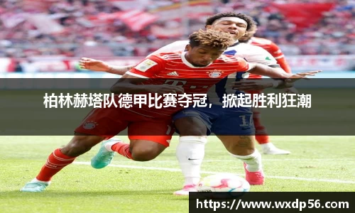 DG视讯官方网站