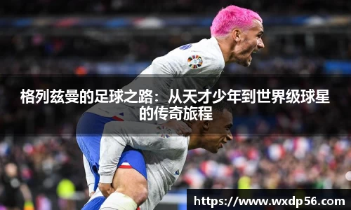 DG视讯官方网站