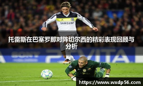 DG视讯官方网站