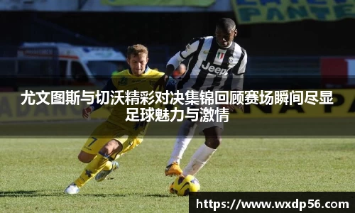 DG视讯官方网站