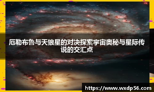DG视讯官方网站