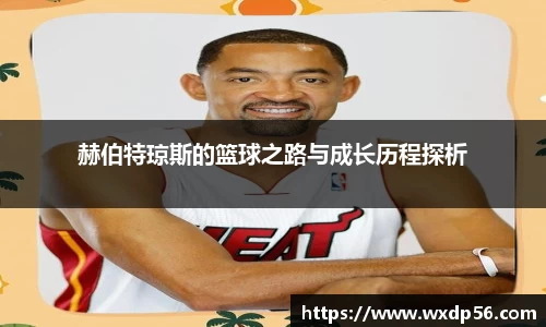 DG视讯