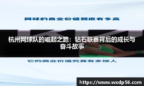 DG视讯平台