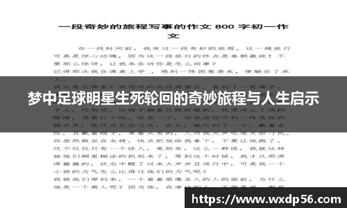 梦中足球明星生死轮回的奇妙旅程与人生启示